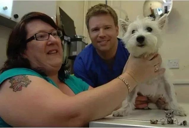 狗狗的肚子……其实是个“百宝箱”？