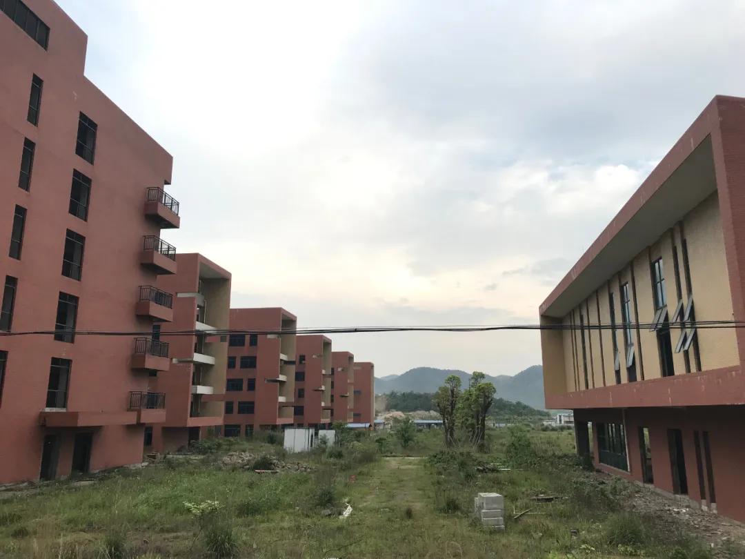 麓山国际长沙分校,麓山国际分校