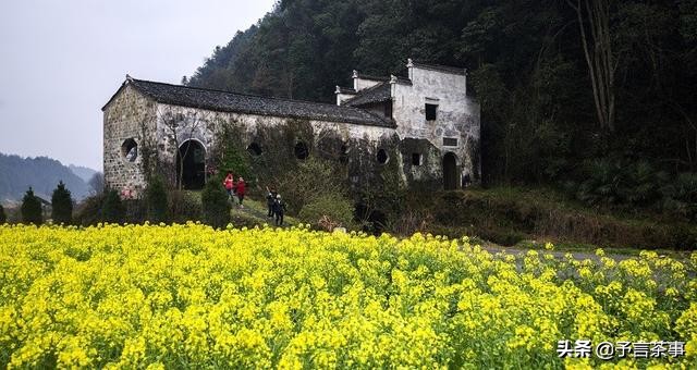 黄山毛峰卖点和话术,黄山毛峰怎么网络推销