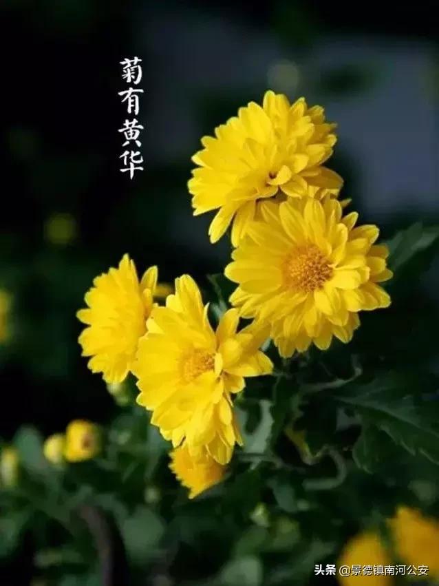 诗词丨33首名作,尽现大唐荣耀289年