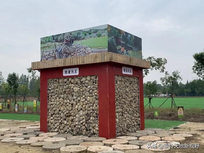 雄鹰劲旅国防教育基地军事特训营2020掠影