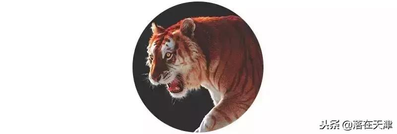 大雪将至怎么养生,冬季大雪节气养生