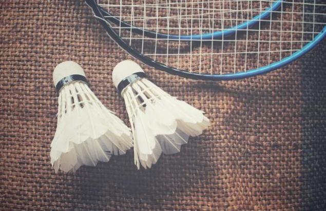 介绍各个品牌羽毛球的网站,羽毛球单打回弹网