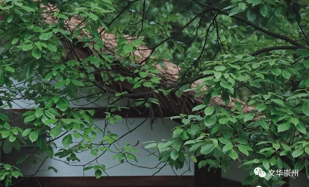 山川美景与世无争的世外桃源,依山傍水尽享人间仙境