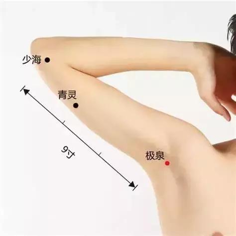 如果肝不好要调理哪个器官,肝脏不好拍打哪里好