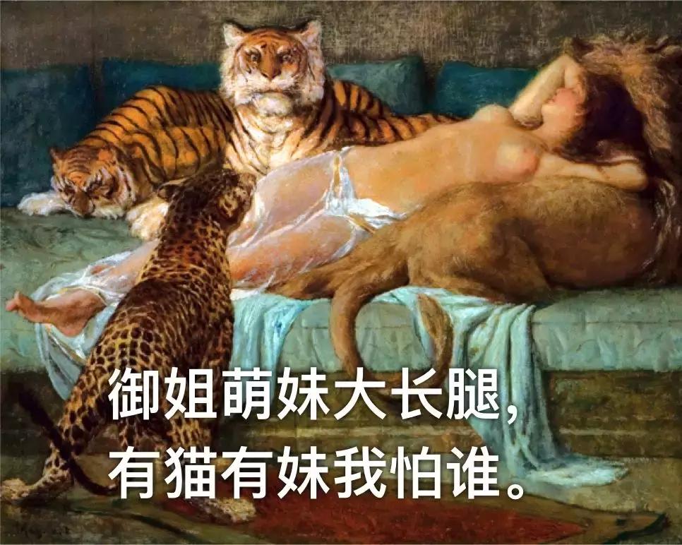 揭露留学生日常生活,留学生的日常生活被曝光