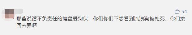 一晚毒杀19条狗狗,毒杀大批狗狗事件