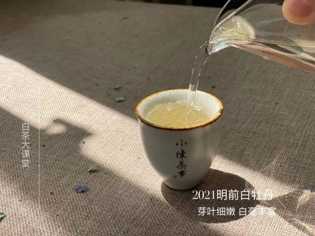 新白茶寒凉像绿茶，老白茶喝起来则像红茶？这种说法有道理吗？