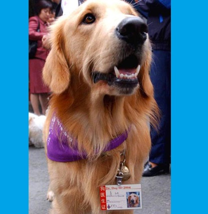 狗能闻出癌前病变吗,一般的狗能嗅出癌症吗