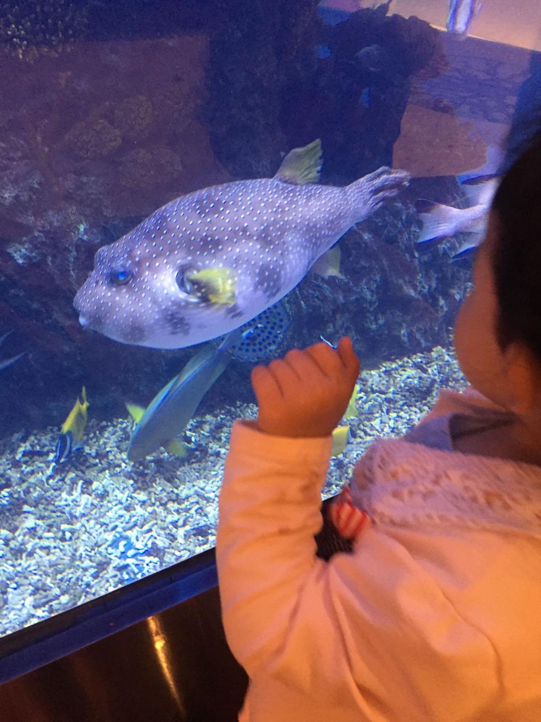 珠海长隆海洋王国附近美食,珠海长隆海洋王国官网预约