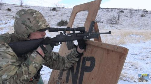 mini14伤害力是多少点,暗区mini14对比和平精英mini14