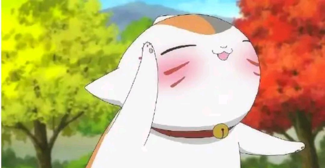 最可爱的动漫猫咪,云吸猫小猫视频