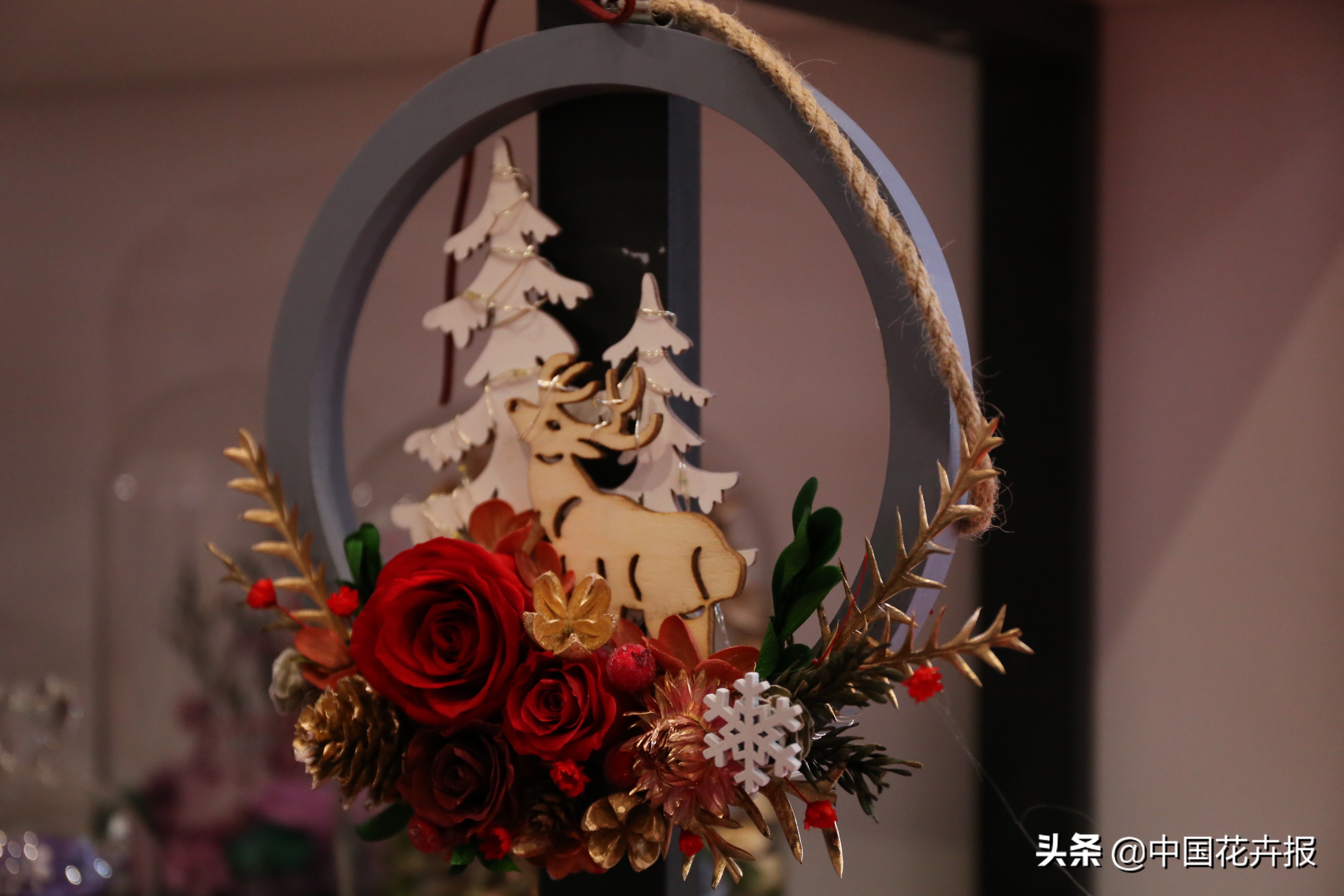 什么是永生花,野兽永生花为什么这么贵