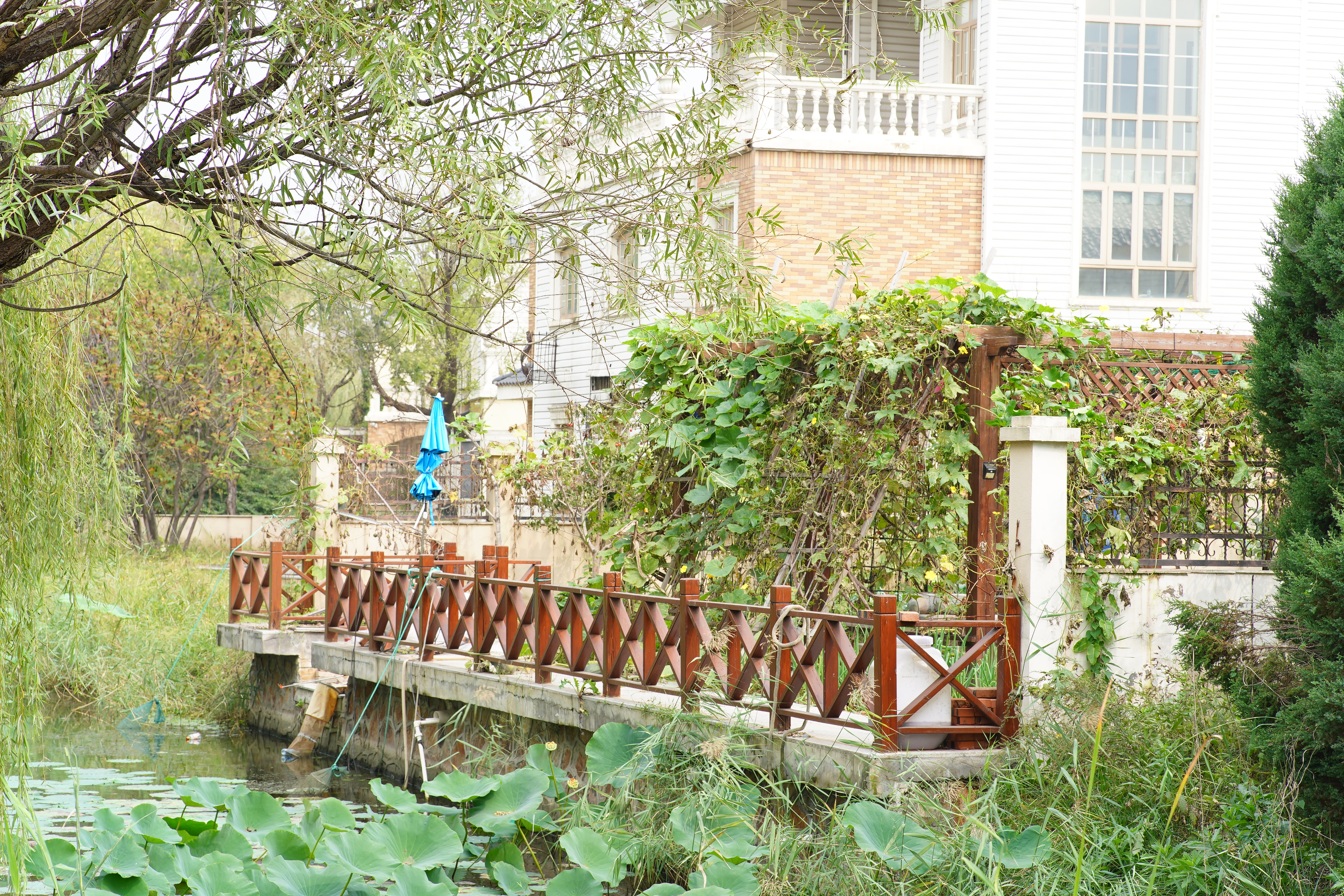 天津市宝坻区京津新城怎么样,宝坻京津新城为什么是鬼城