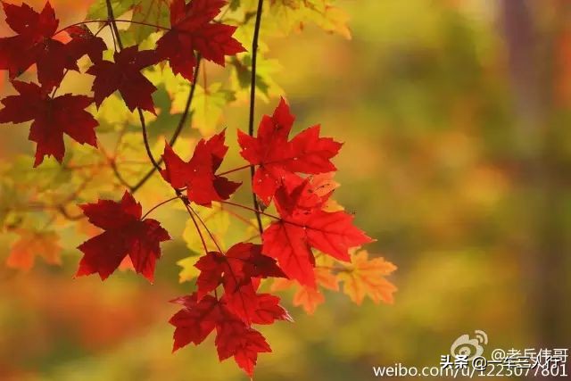 大连有一个蓝色的小城堡景点,大连秋季旅游景点攻略大全