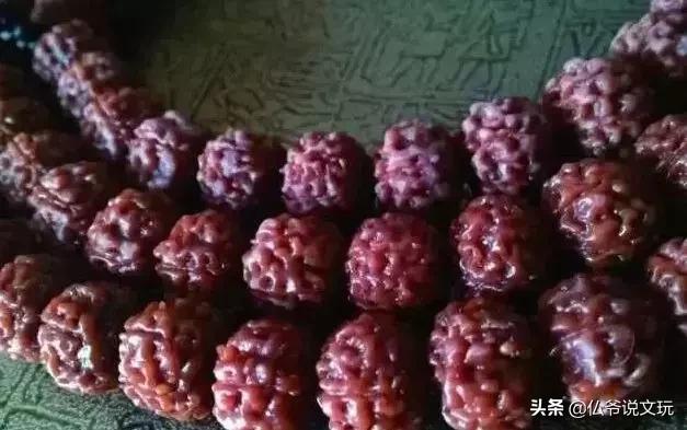 小金刚菩提清理果肉,小金刚菩提清理到什么程度