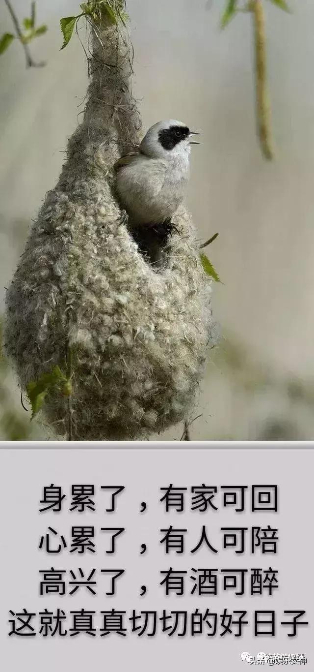 我的家庭相册文章,我的家庭相册细节