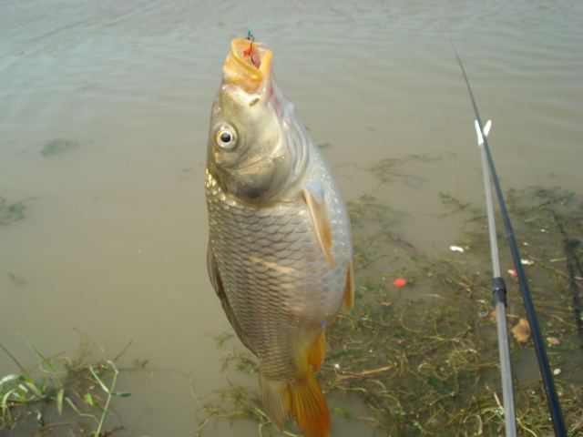 如何找到一个钓鱼窝子,找到一个好钓点