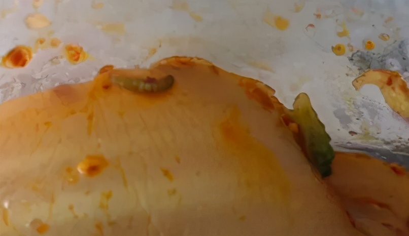 网红炸鸡店被曝光,外卖黑心商家食品曝光