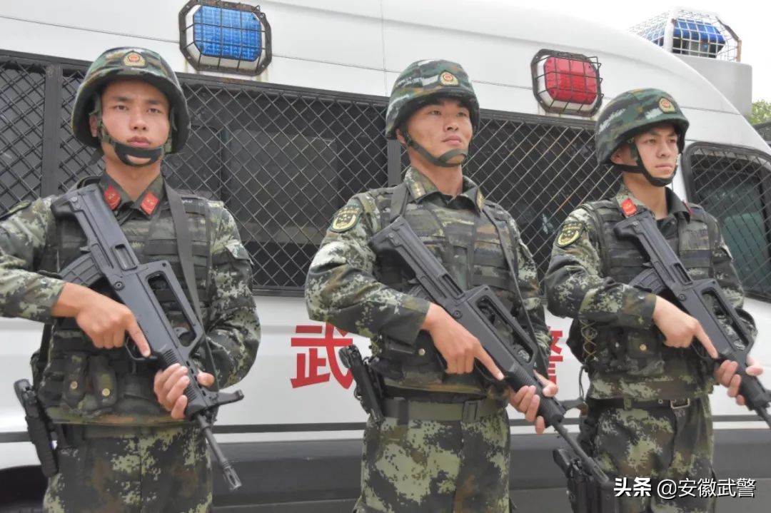 犟人的视频,犟人