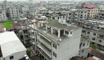 莆田画眉鸟事件,男子捕捉鸟类被逮捕