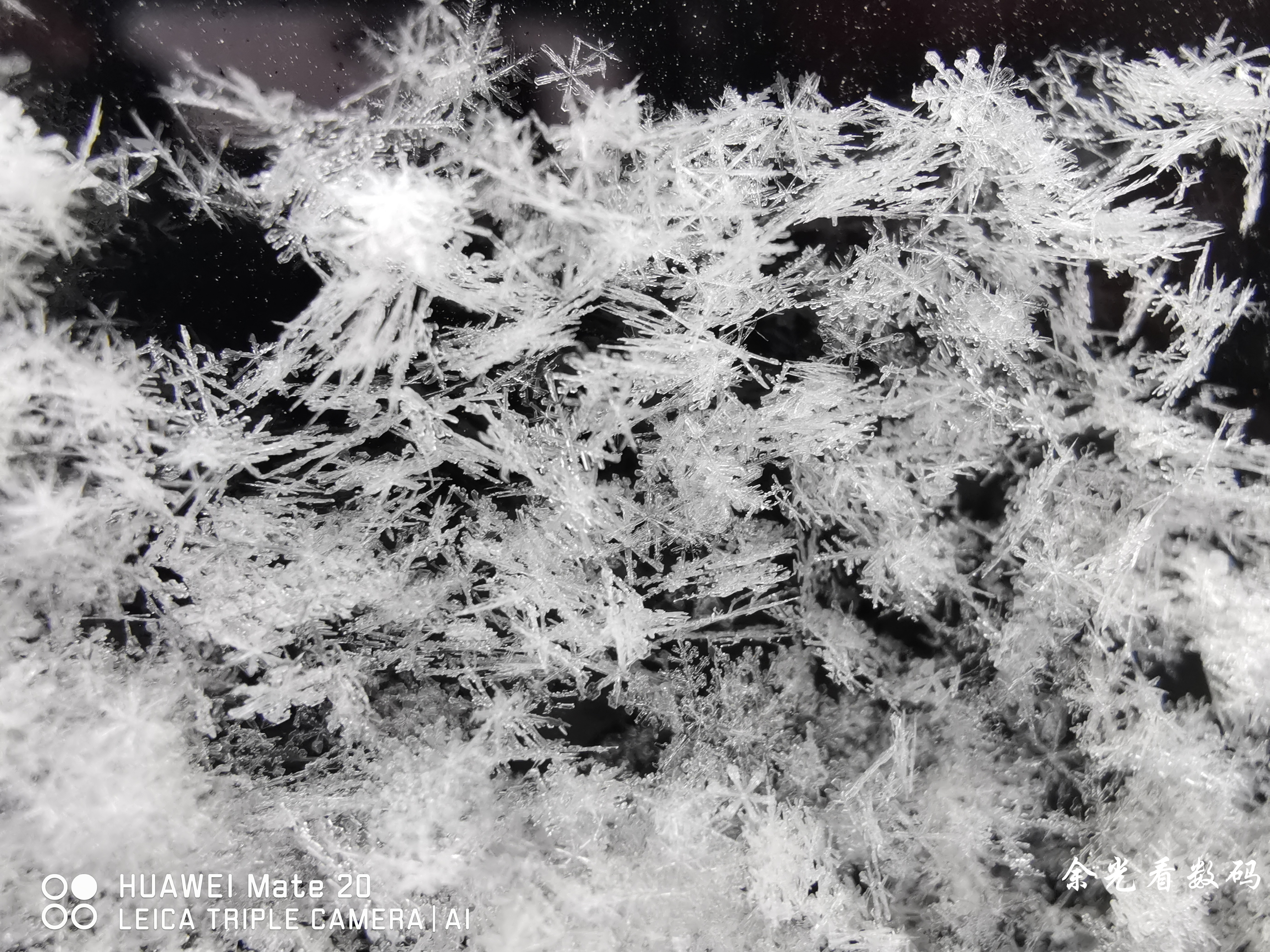 华为mate20拍照详细评测,华为mate20拍照效果怎么样