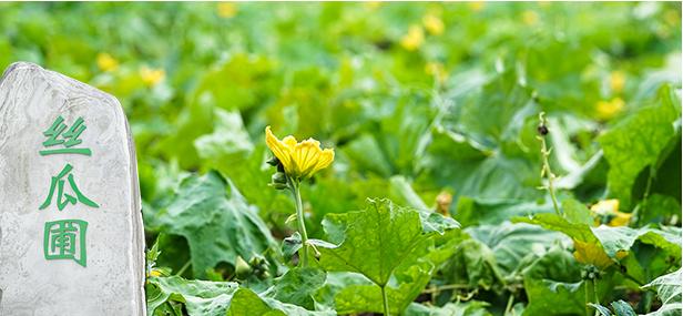 逛超市时看到这些护肤好物,大牌护肤品隐藏好物