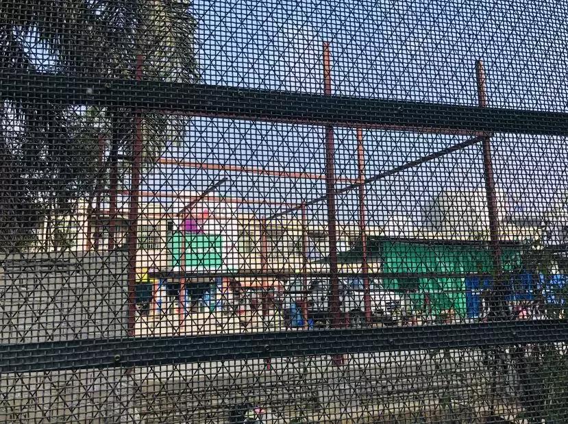 来姐告口岸体验一把非一般的跨境“网”商