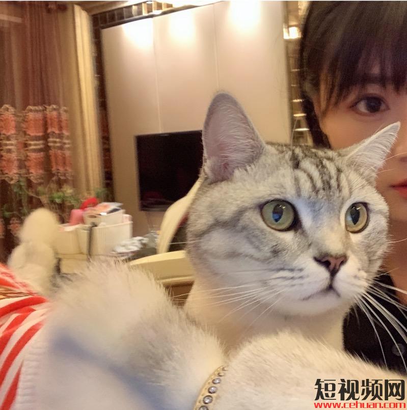 怎么做火一个抖音账号,怎么样把一个抖音账号火起来