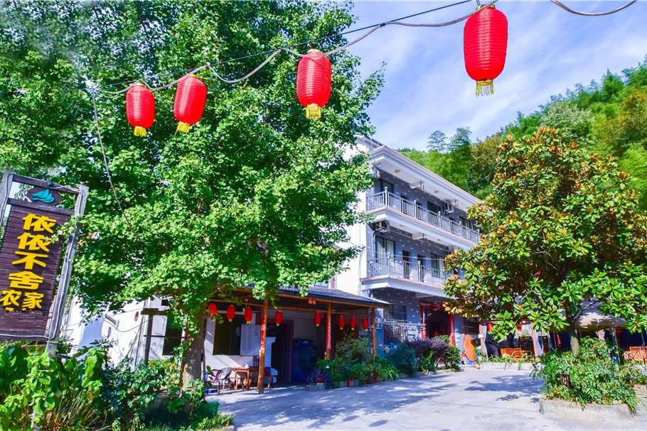 临安农家民宿小院,临安天目山农家乐民宿