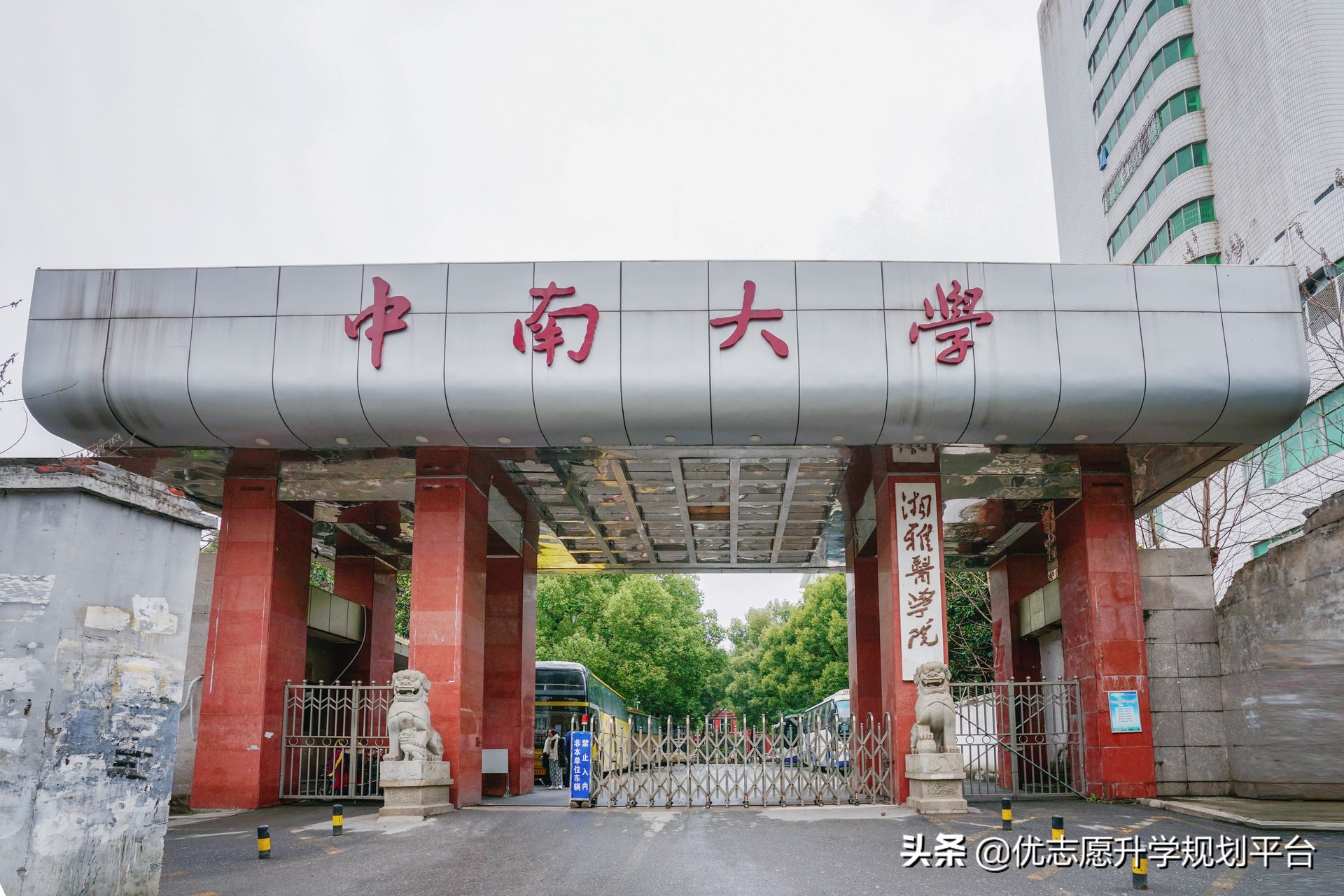 中南大学就业报告分析：就业率98%左右，事业单位就业情况较好