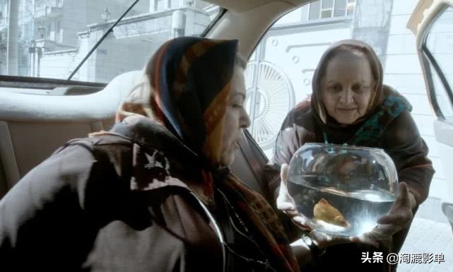 伊朗获奥斯卡的电影,奥斯卡伊朗