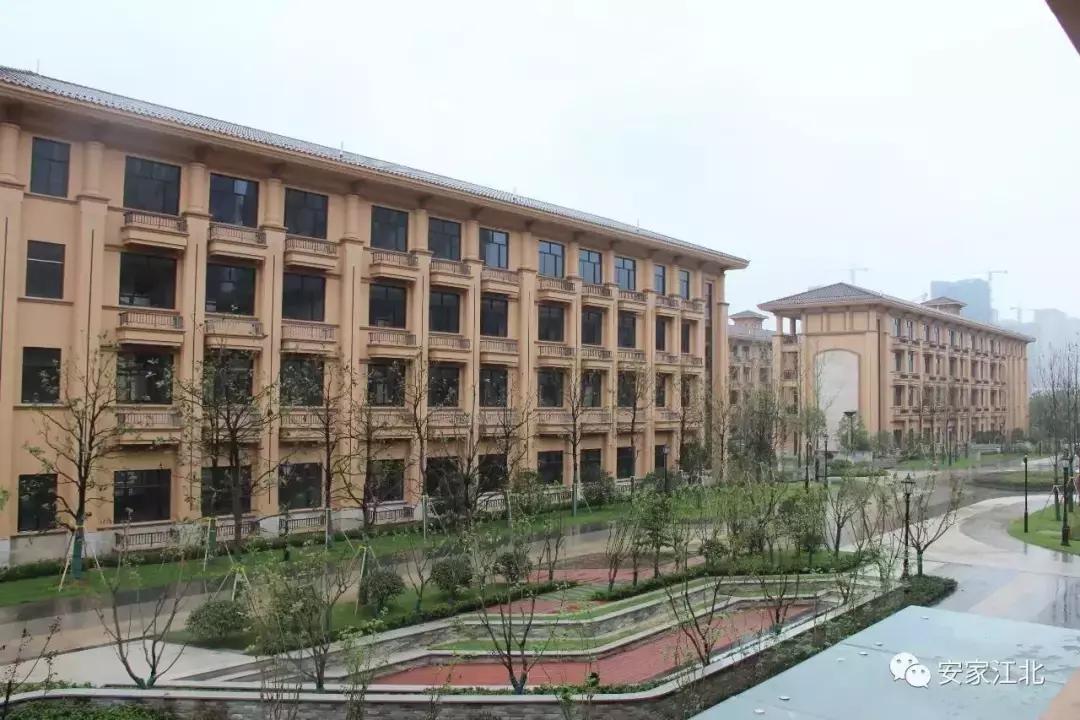 江北核心区学区划分,江北中心学校成绩