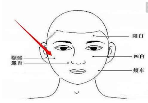 史上最全的人体穴位与功效图谱,74个常用穴位