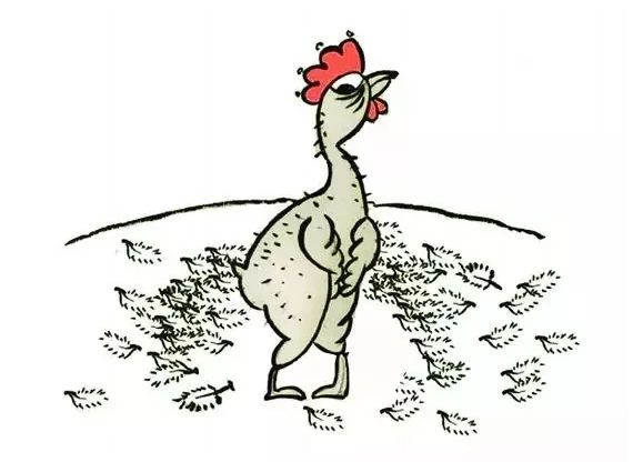 海南人普遍性格怎么样,海南人特点分析