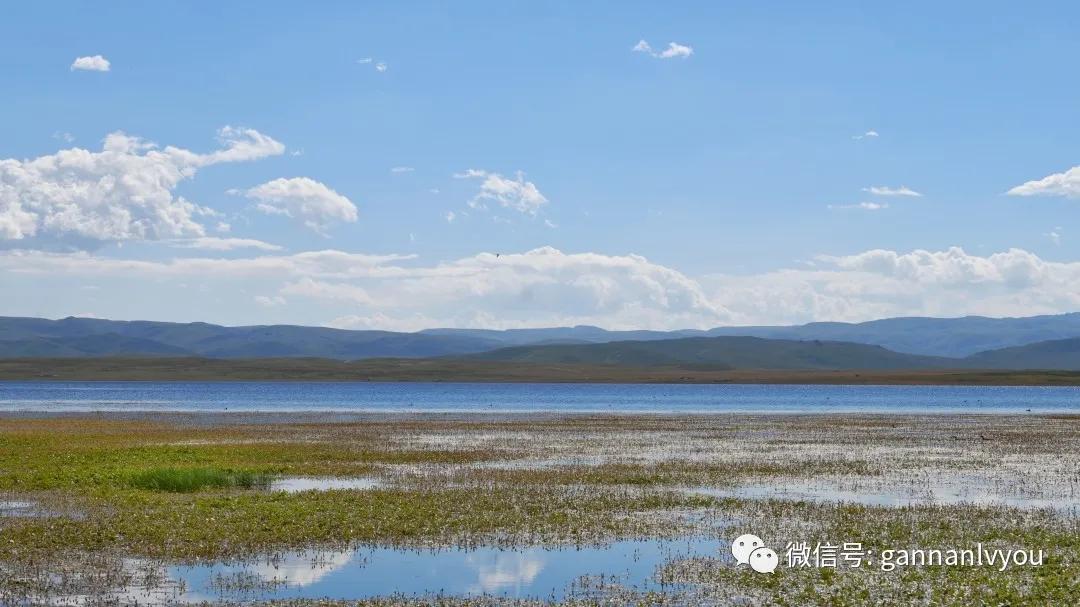甘南旅游攻略超详细,甘肃甘南不自驾游3天攻略