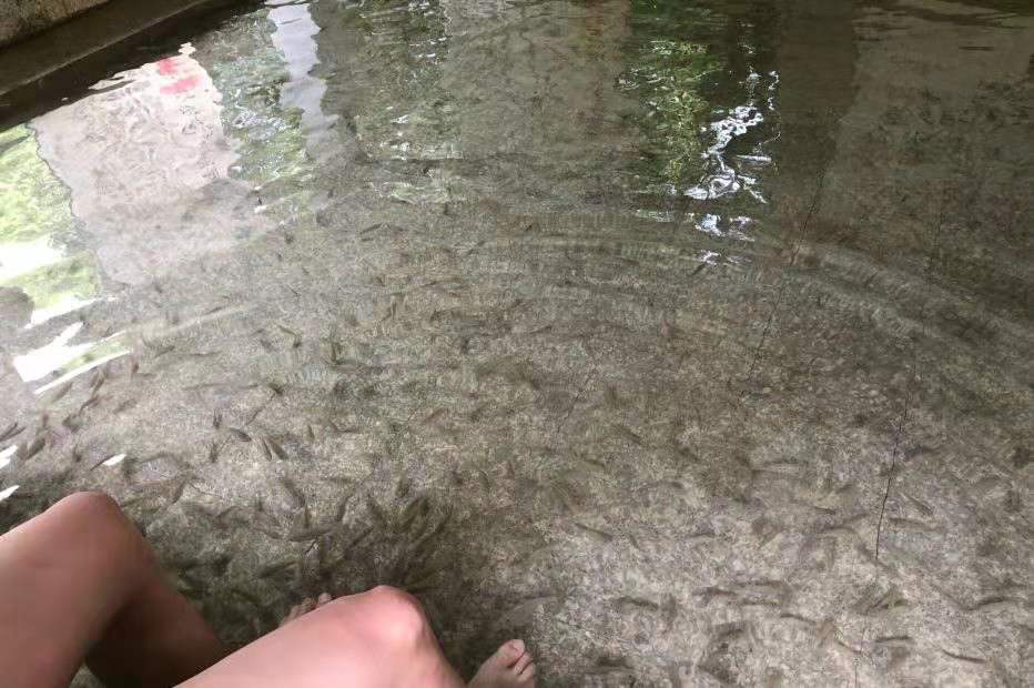 韶关新丰云天海温泉二日游多少钱,新丰云天海温泉好还是江源温泉好