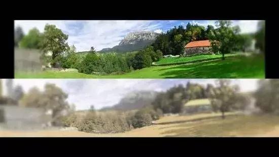 猫咪眼里的世界到底是怎样的,猫咪眼中的世界是什么样子