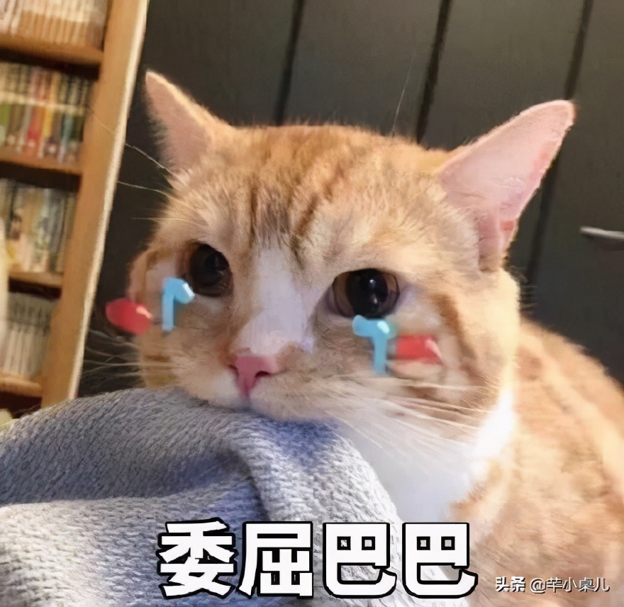 网购小羊排,羊排买回来怎么处理没有膻味