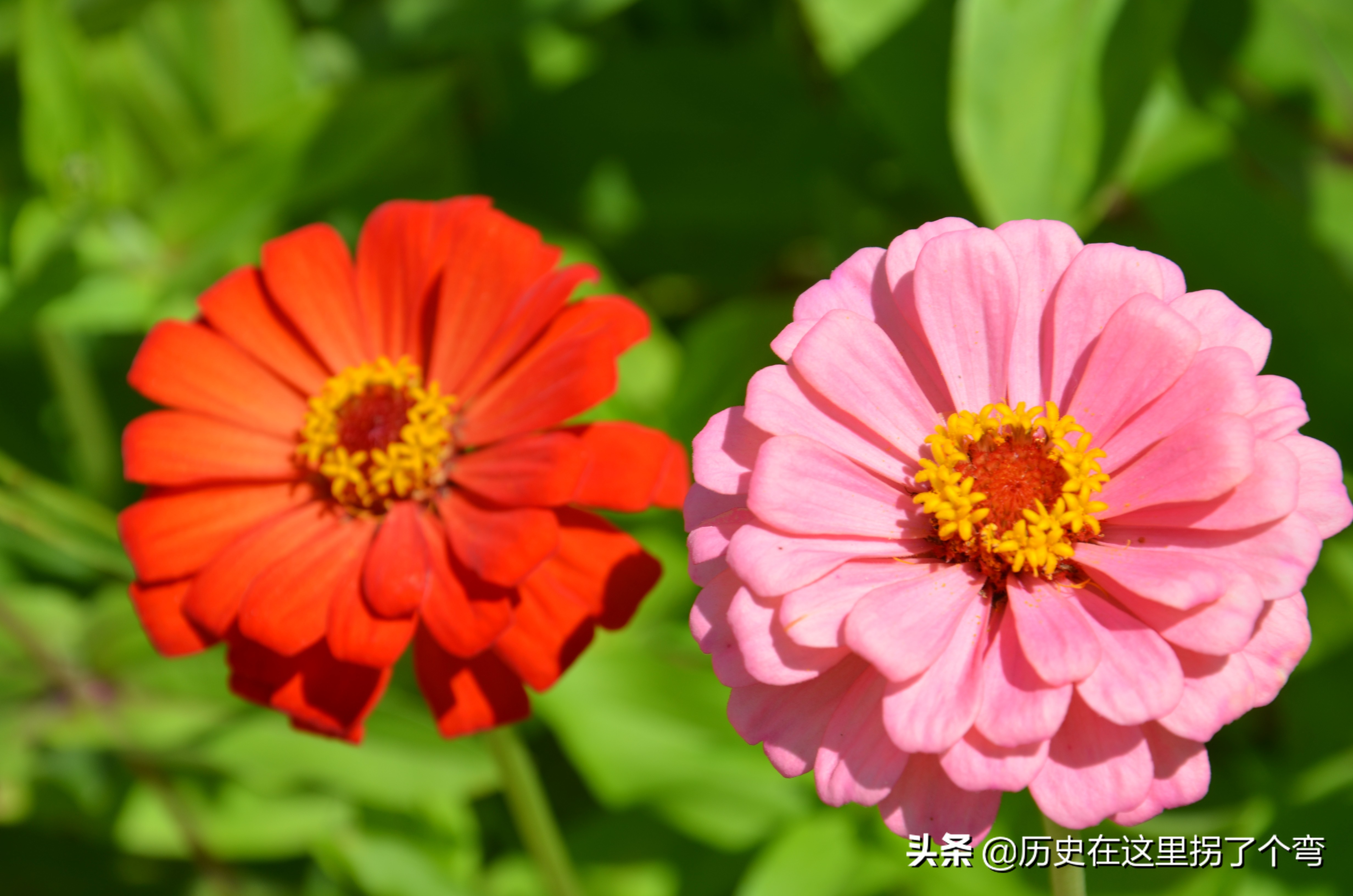 农耕文化一览表,农耕文明源头之十三