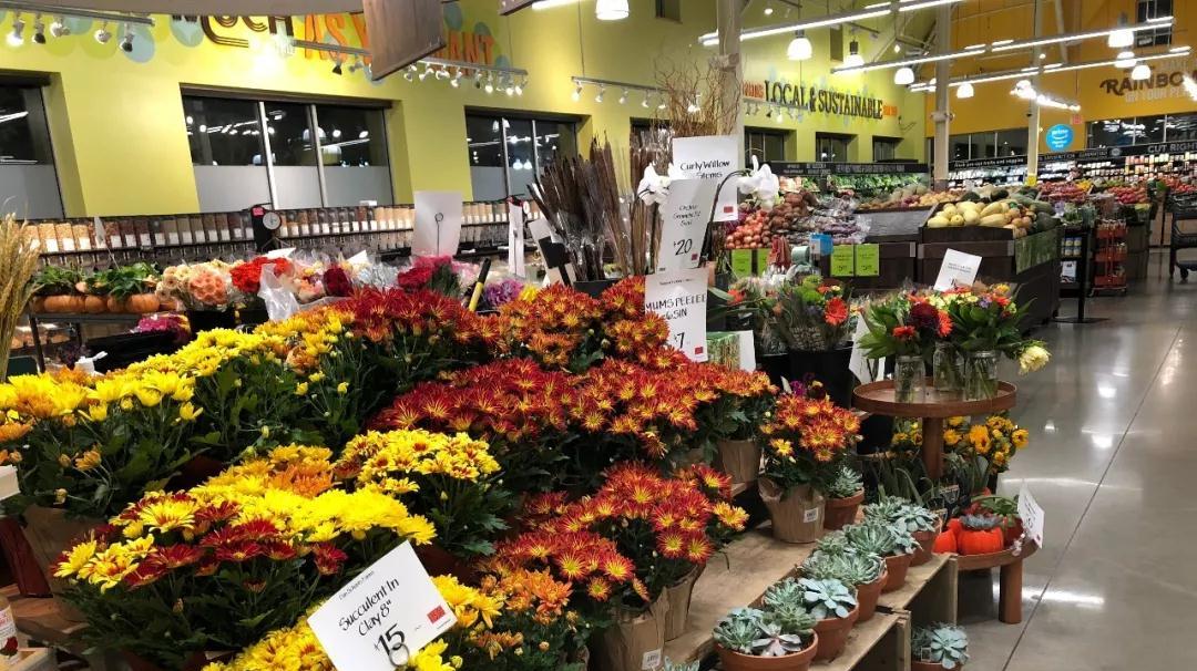 知道这些知识让你合理省钱,澳大利亚衣食攻略