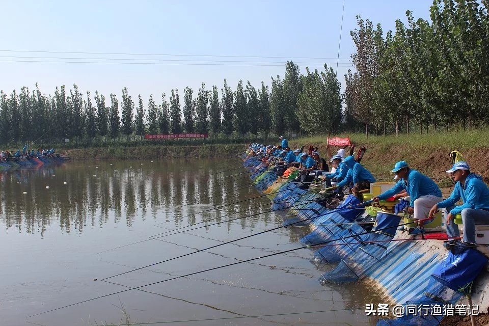 怎么钓黑坑才能赚钱,玩黑坑能挣钱吗