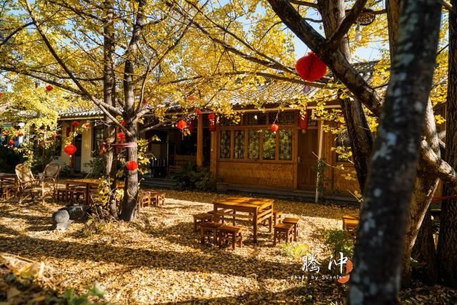 邂逅秋的王国：腾冲，你已在我心间