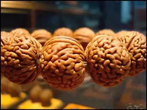 四大金刚桃核品种,桃核四大金刚你都玩过吗