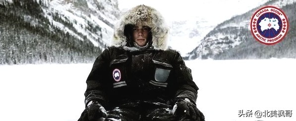 买加拿大鹅的人都是什么心理,加拿大鹅到底值不值得买