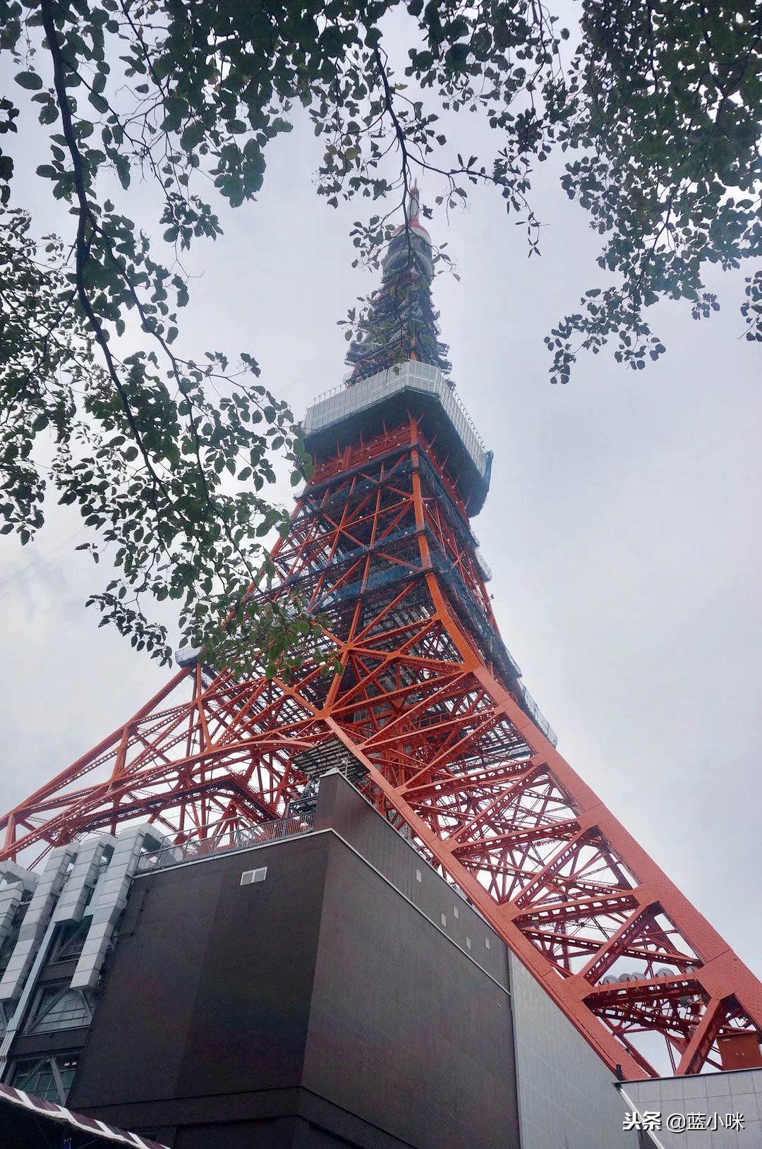 日本自由行7天看富士山,东京自由行攻略东京富士山自由行