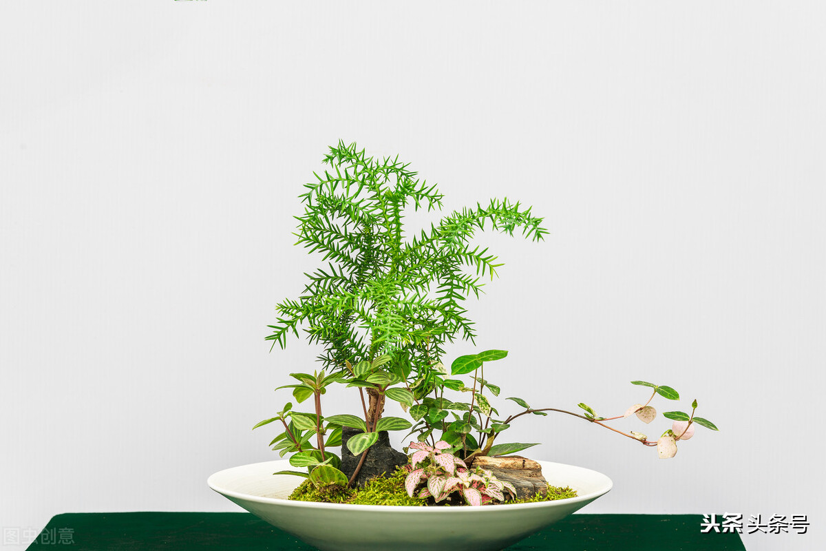 女人结婚后没有曾经的矫情,婚后女人的矫情去哪了