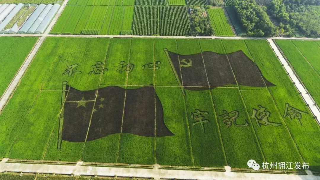 震撼!钱塘江畔出现巨型画作,有28个足球场这么大!