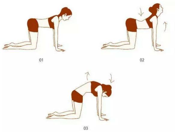 修复盆底肌，千万别错过黄金期