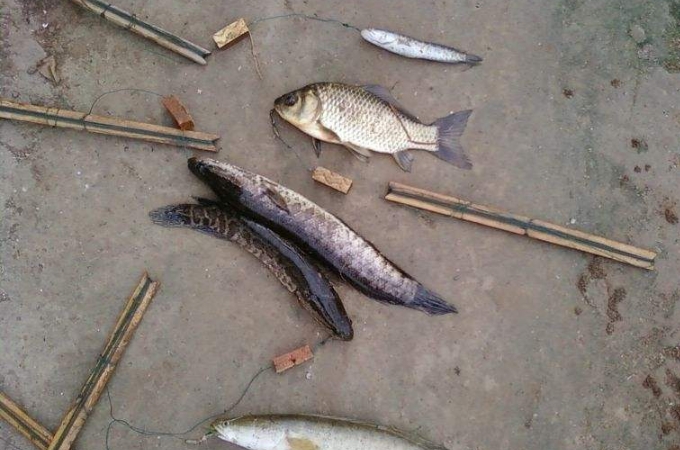 秋天黑鱼不咬怎么办,秋天天气凉了为什么钓鱼不好钓